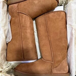 UGG Chestnut Suede Winter Boots